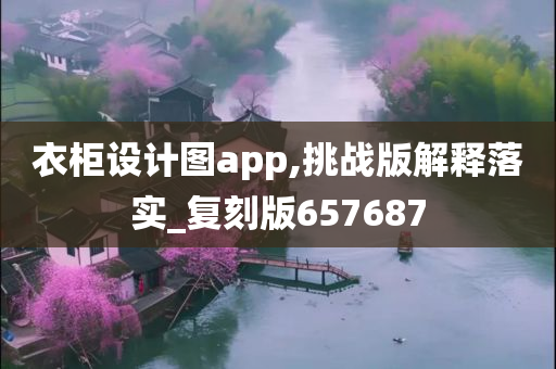 衣柜设计图app,挑战版解释落实_复刻版657687