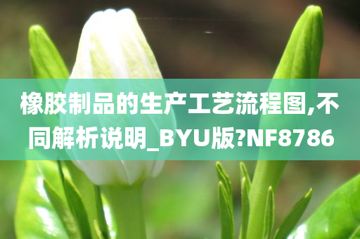 橡胶制品的生产工艺流程图,不同解析说明_BYU版?NF8786