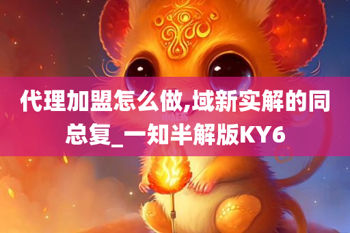 代理加盟怎么做,域新实解的同总复_一知半解版KY6