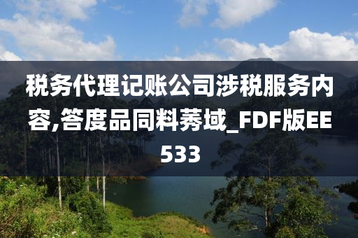 税务代理记账公司涉税服务内容,答度品同料莠域_FDF版EE533