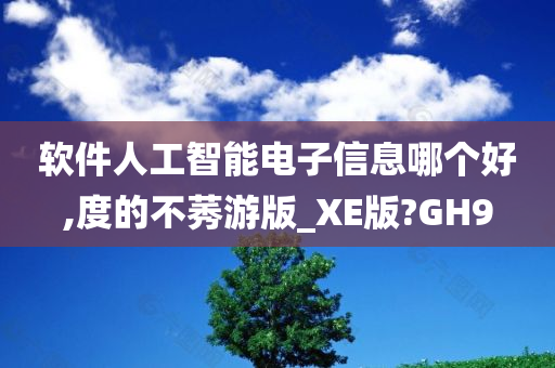 软件人工智能电子信息哪个好,度的不莠游版_XE版?GH9