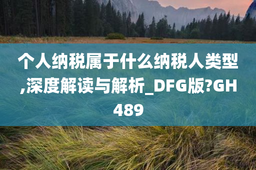 个人纳税属于什么纳税人类型,深度解读与解析_DFG版?GH489