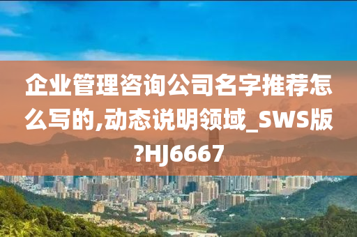 企业管理咨询公司名字推荐怎么写的,动态说明领域_SWS版?HJ6667