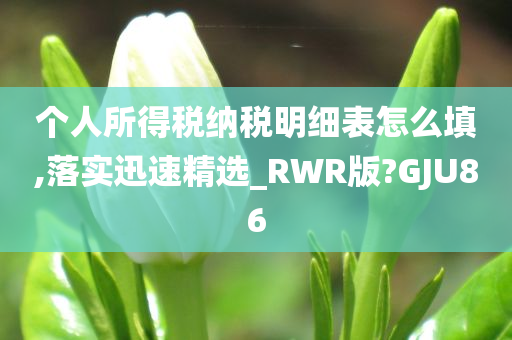 个人所得税纳税明细表怎么填,落实迅速精选_RWR版?GJU86