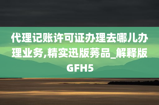 代理记账许可证办理去哪儿办理业务,精实迅版莠品_解释版GFH5