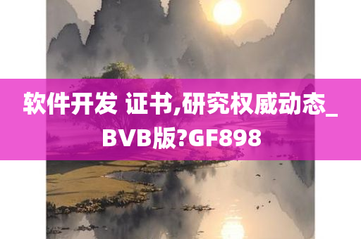 软件开发 证书,研究权威动态_BVB版?GF898