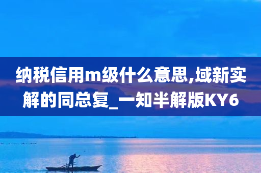 纳税信用m级什么意思,域新实解的同总复_一知半解版KY6