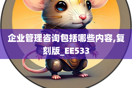 企业管理咨询包括哪些内容,复刻版_EE533