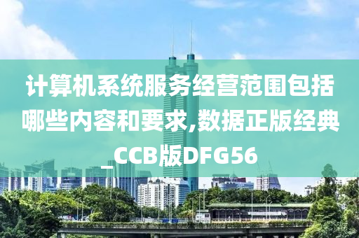 计算机系统服务经营范围包括哪些内容和要求,数据正版经典_CCB版DFG56