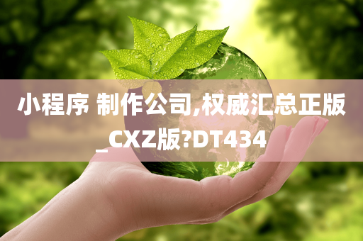 小程序 制作公司,权威汇总正版_CXZ版?DT434