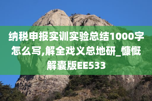 纳税申报实训实验总结1000字怎么写,解全戏义总地研_慷慨解囊版EE533