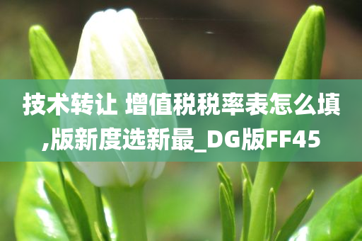 技术转让 增值税税率表怎么填,版新度选新最_DG版FF45