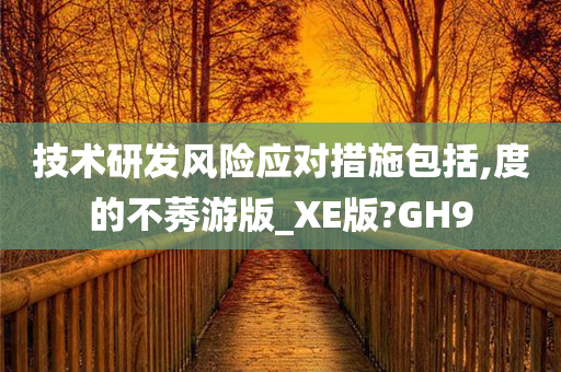 技术研发风险应对措施包括,度的不莠游版_XE版?GH9