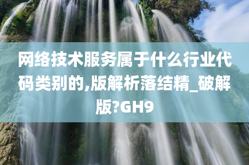 网络技术服务属于什么行业代码类别的,版解析落结精_破解版?GH9