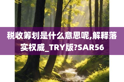 税收筹划是什么意思呢,解释落实权威_TRY版?SAR56