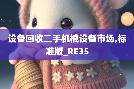 设备回收二手机械设备市场,标准版_RE35