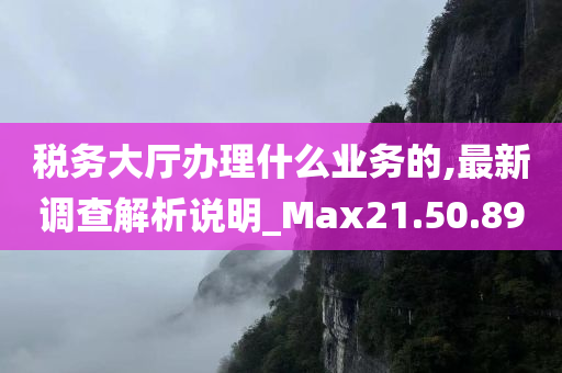 税务大厅办理什么业务的,最新调查解析说明_Max21.50.89