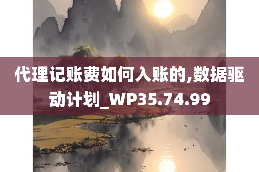 代理记账费如何入账的,数据驱动计划_WP35.74.99