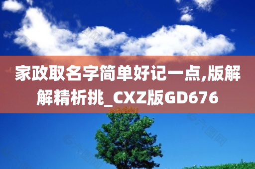 家政取名字简单好记一点,版解解精析挑_CXZ版GD676