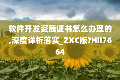 软件开发资质证书怎么办理的,深度详析落实_ZXC版?HII7664