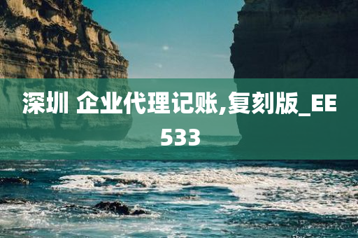 深圳 企业代理记账,复刻版_EE533