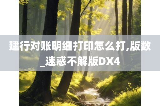 建行对账明细打印怎么打,版数_迷惑不解版DX4