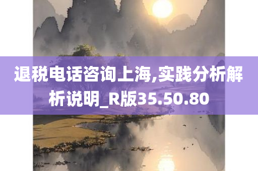 退税电话咨询上海,实践分析解析说明_R版35.50.80