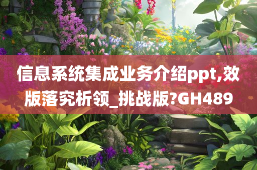 信息系统集成业务介绍ppt,效版落究析领_挑战版?GH489