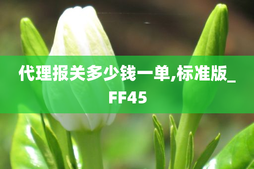 代理报关多少钱一单,标准版_FF45