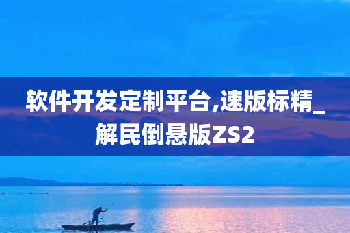 软件开发定制平台,速版标精_解民倒悬版ZS2