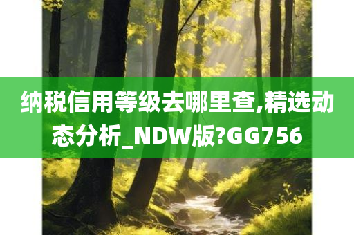 纳税信用等级去哪里查,精选动态分析_NDW版?GG756