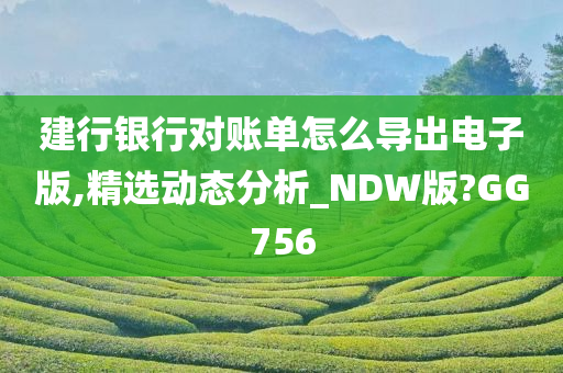 建行银行对账单怎么导出电子版,精选动态分析_NDW版?GG756