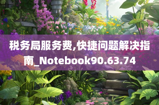 税务局服务费,快捷问题解决指南_Notebook90.63.74