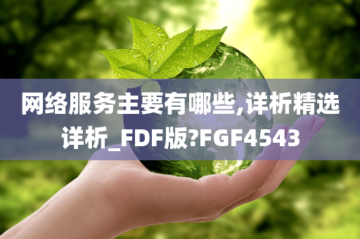 网络服务主要有哪些,详析精选详析_FDF版?FGF4543