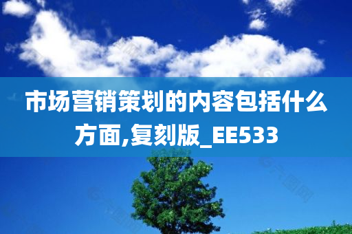 市场营销策划的内容包括什么方面,复刻版_EE533