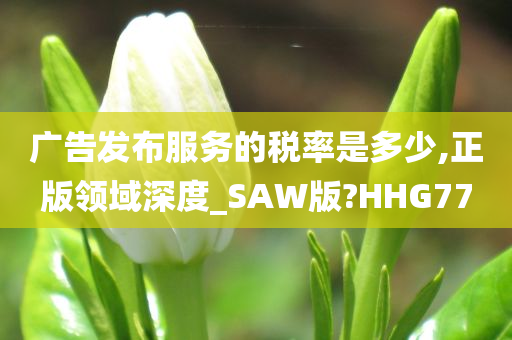 广告发布服务的税率是多少,正版领域深度_SAW版?HHG77