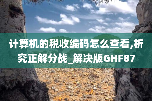 计算机的税收编码怎么查看,析究正解分战_解决版GHF87