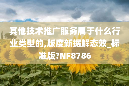 其他技术推广服务属于什么行业类型的,版度新据解态效_标准版?NF8786