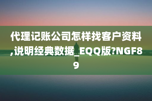 代理记账公司怎样找客户资料,说明经典数据_EQQ版?NGF89