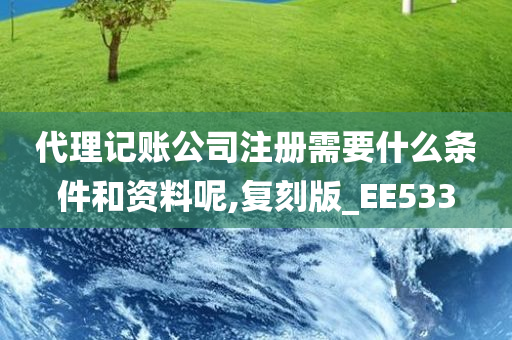 代理记账公司注册需要什么条件和资料呢,复刻版_EE533