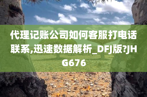 代理记账公司如何客服打电话联系,迅速数据解析_DFJ版?JHG676