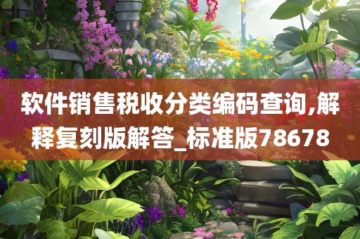 软件销售税收分类编码查询,解释复刻版解答_标准版78678