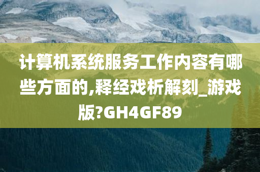 计算机系统服务工作内容有哪些方面的,释经戏析解刻_游戏版?GH4GF89