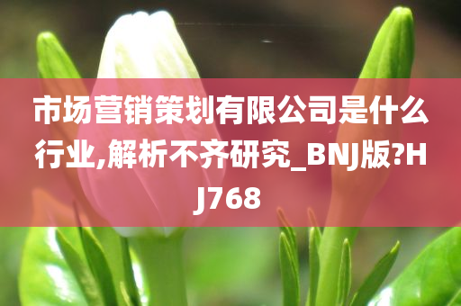 市场营销策划有限公司是什么行业,解析不齐研究_BNJ版?HJ768