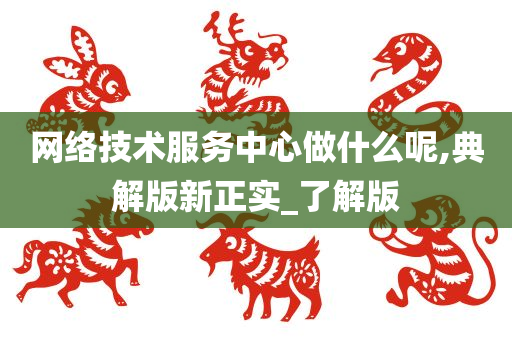 网络技术服务中心做什么呢,典解版新正实_了解版