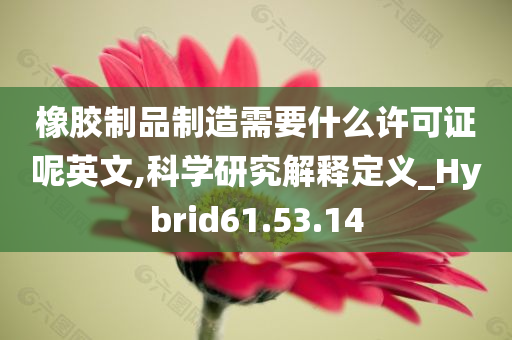 橡胶制品制造需要什么许可证呢英文,科学研究解释定义_Hybrid61.53.14