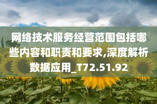 网络技术服务经营范围包括哪些内容和职责和要求,深度解析数据应用_T72.51.92