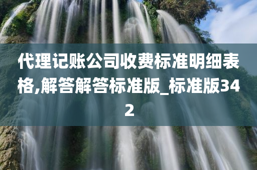 代理记账公司收费标准明细表格,解答解答标准版_标准版342