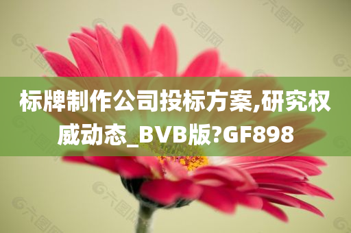 标牌制作公司投标方案,研究权威动态_BVB版?GF898