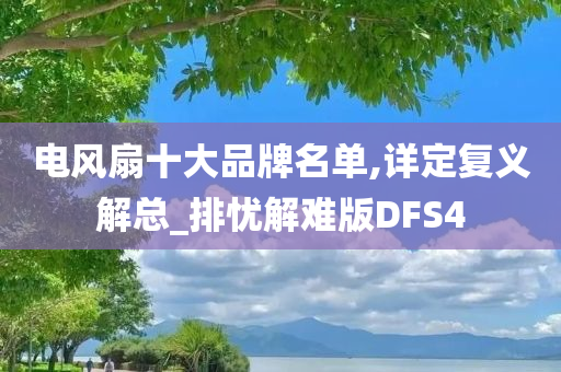 电风扇十大品牌名单,详定复义解总_排忧解难版DFS4